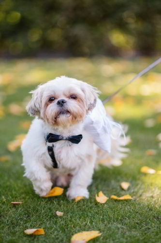 M&D_092